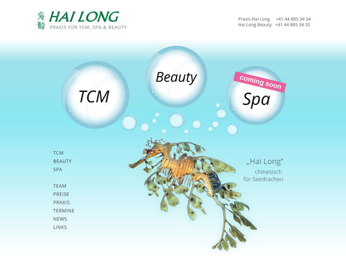 Responsive Website mit Termin Buchung